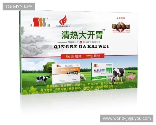 九游体育网站登录入口常见问题解答及登录流程详解，确保用户顺利进入体育平台